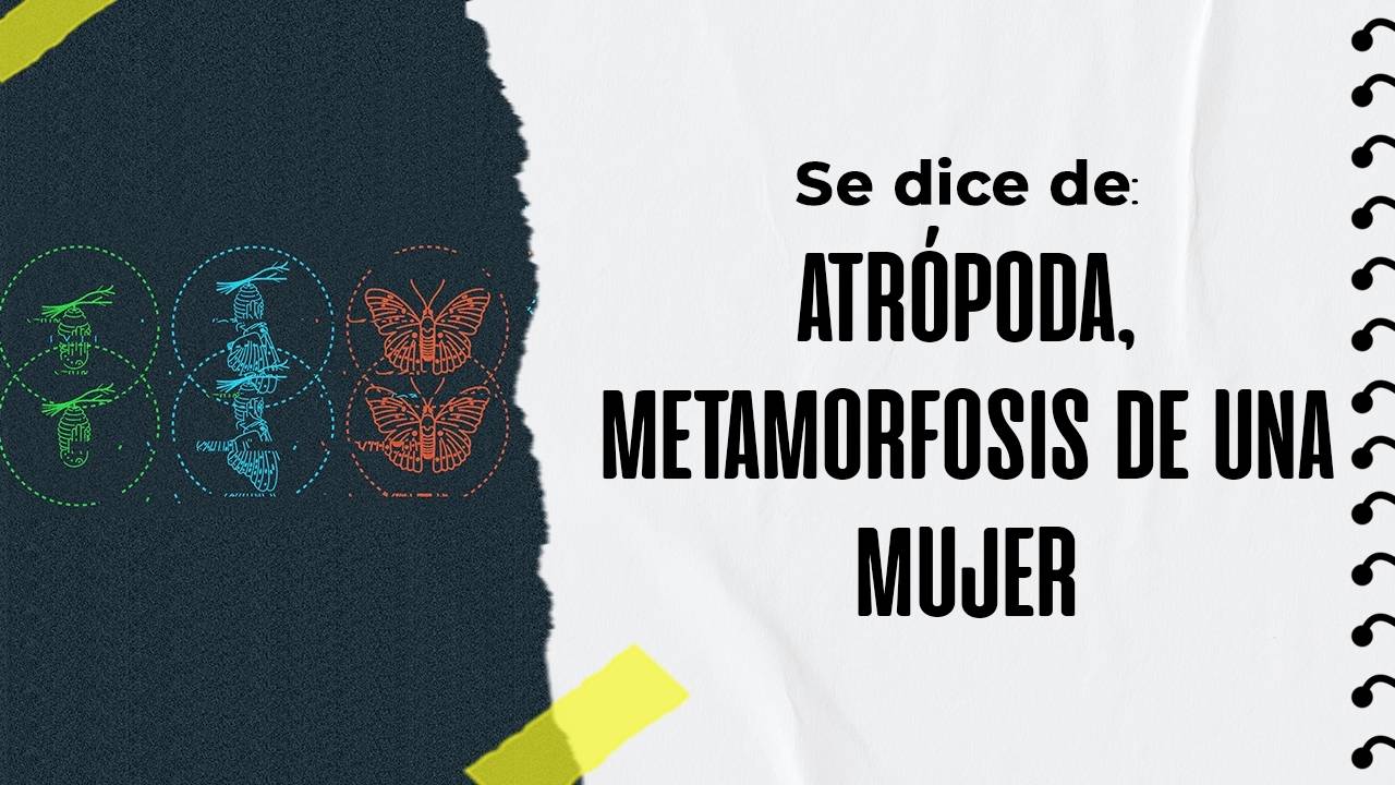 Artrópoda, metamorfosis de una mujer