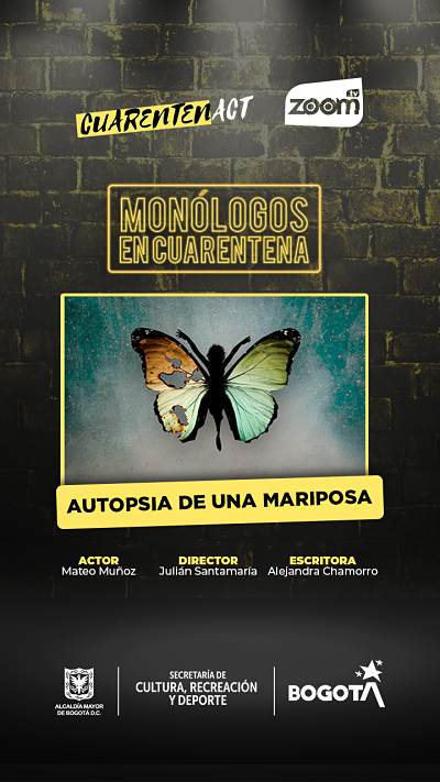 Autopsia de una Mariposa